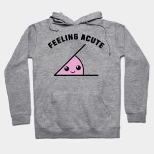 Acute Angle Math Pun Hoodie